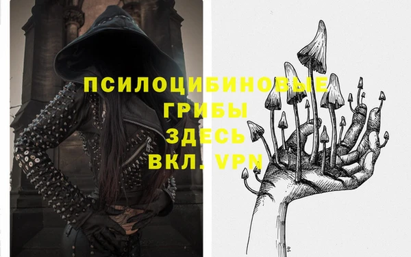 крисы Армянск